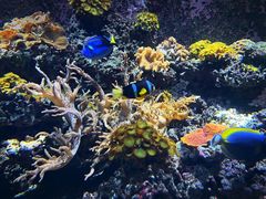 -海合安天津极地海洋公园