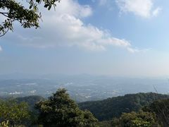 -广州市帽峰山景区