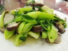 -林之六八·6886大连老菜馆