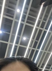 -蚂蚁造型俱乐部