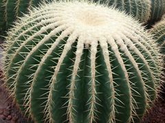 -南通洲际绿博园