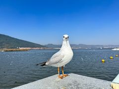 -昆明滇池国家级风景名胜区西山景区