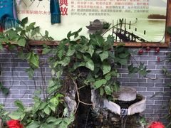 -农厨好味·温泉鹅·农家菜