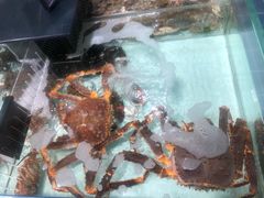 -胖东来生活广场(健康路店)