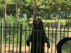 -秦皇岛野生动物园