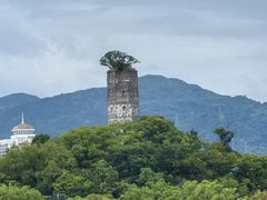-江心屿景区