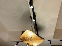 -杨氏青龙虾·羊蝎子(托乐嘉店)
