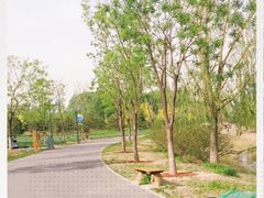 -东郊湿地公园