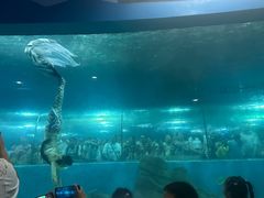 -苏州海洋馆