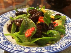 -食家鸽园