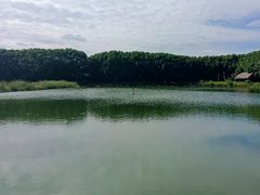-广富林郊野公园