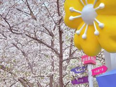 -高东镇樱花园