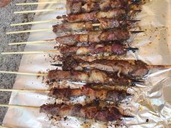 -吴淞炮台湾湿地森林公园烧烤区