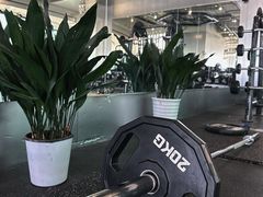 -Hi GYM嗨健身(泥城店)