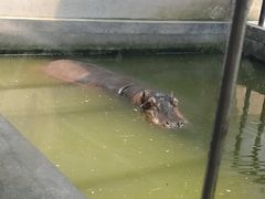 -石家庄市动物园