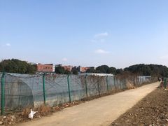 -胜丰草莓采摘园