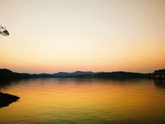 -冶春茶社(星汉大厦店)