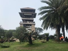 -大湾区中央湿地公园