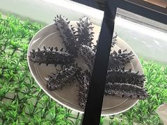 -奇滋豆味(南十四道街店)