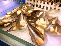 -巴犀烧烤(新崇光店)