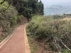 -五凤溪古镇