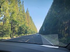 -黄海国家森林公园