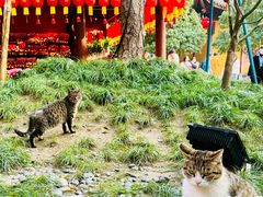 -龙华寺