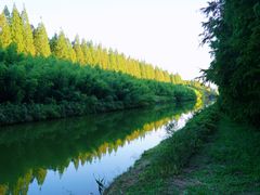 -黄海国家森林公园