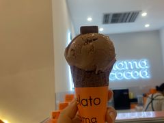 榛子巧克力冰淇淋-nama cocoa 纳摩可可(朝阳大悦城店)