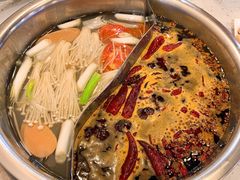 -朱氏胖子烂火锅(洪崖洞店)