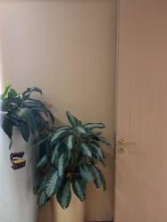 -南京康美美容医院·旗舰店