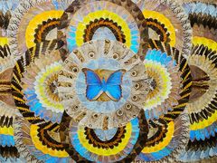 -上海昆虫博物馆