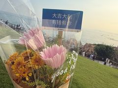 -小麦岛公园
