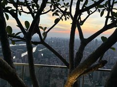 -广州柏悦酒店·悦吧·顶楼露天酒吧