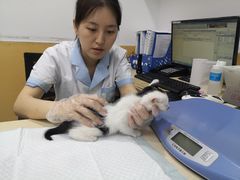 -美联众合动物医院(·中兽医·疑难杂症·严家桥分院)