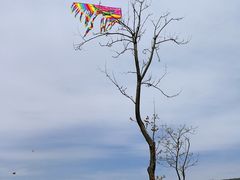 -钟山体育运动公园