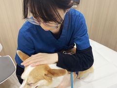 -申普宠物医院·眼科·心内科·影像科(普陀分院)