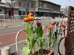 -新川面馆(新街口起源店)