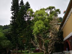 -故宫晶华