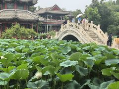 -莲池书院博物馆
