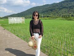 -艾米稻香小镇