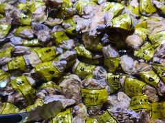 -聚盛源蒸汽海鲜火锅烤肉自助(巨川金海岸购物广场店)