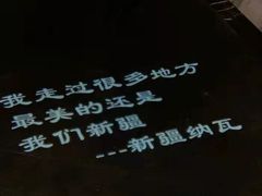 -纳瓦新疆菜(银都店)