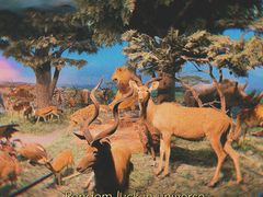 -国家自然博物馆