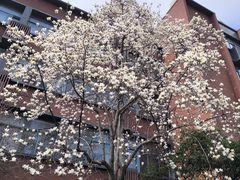 -浙江大学(玉泉校区)