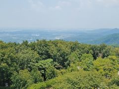 -南京老山国家森林公园