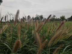 -汉长安城未央宫国家考古遗址公园