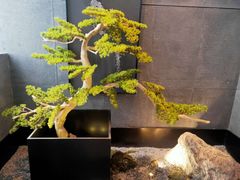 -百富源·海鲜辽菜(浑河堡店)
