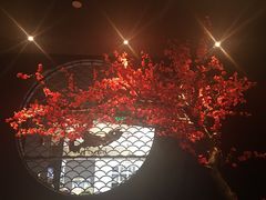 -捞王猪肚鸡火锅(财富中心店)