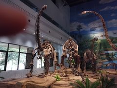 -自贡恐龙博物馆